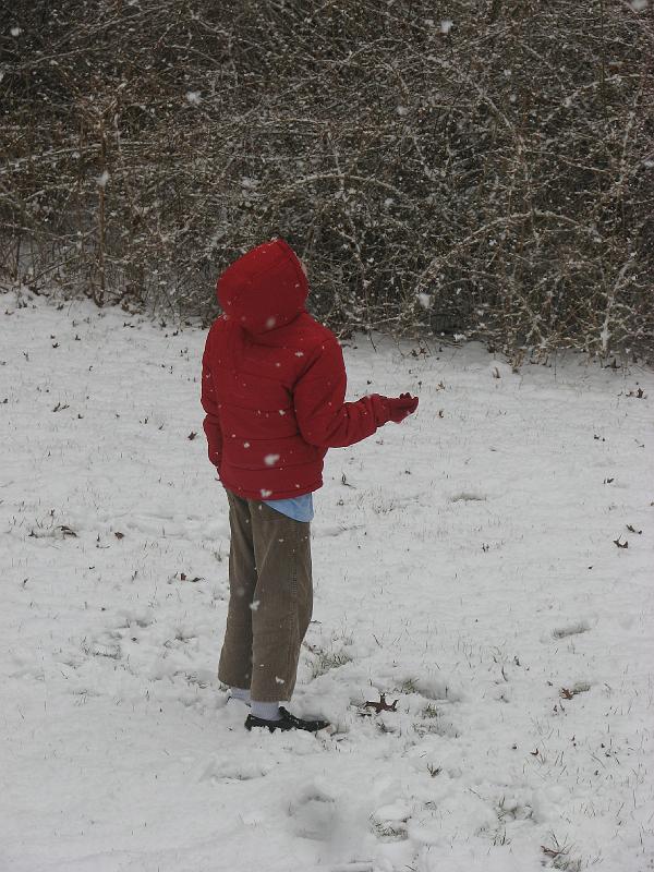 2008-12-07_First_Snow 063.jpg